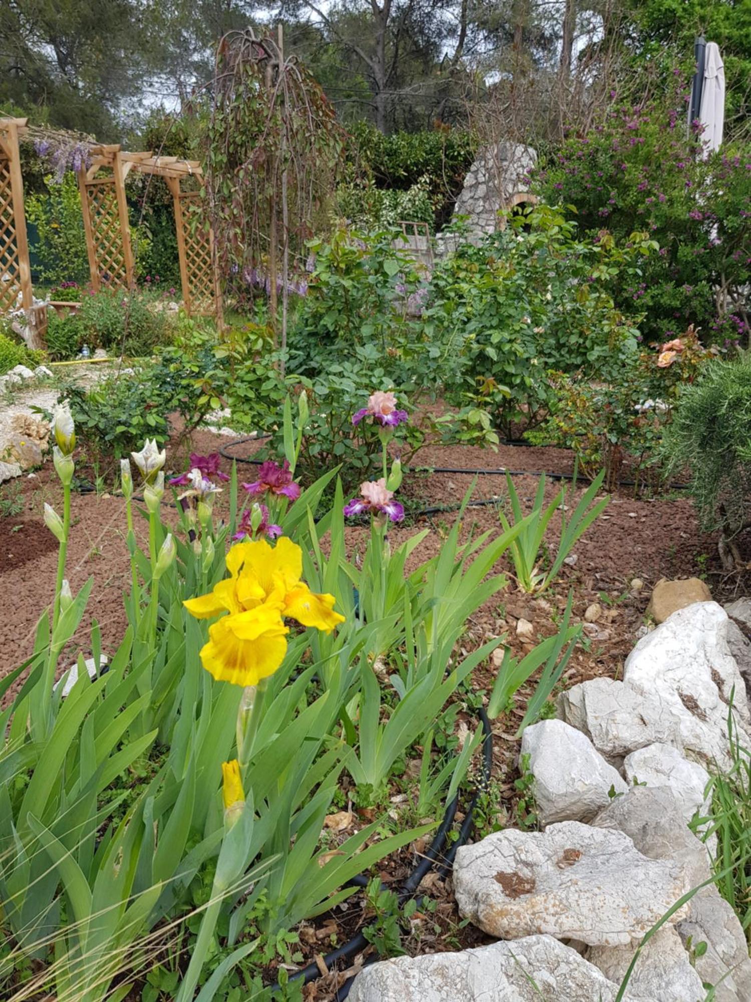 Mas D'Azur Bed & Breakfast Roquefort-les-Pins Luaran gambar